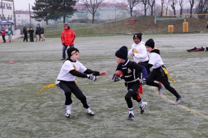 Chevalier Bowl 16 2016-12-17-10h59m50