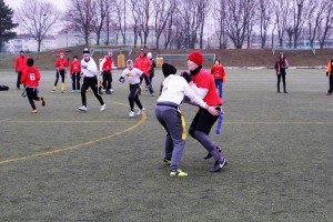 Chevalier Bowl 16 2016-12-17-11h21m30