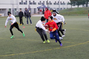 Chevalier Bowl 16 2016-12-17-11h22m40