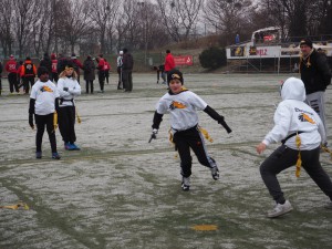 Chevalier Bowl 16 2016-12-17-11h24m14