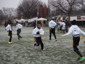 Chevalier Bowl 16 2016-12-17-11h25m13