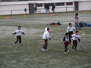 Chevalier Bowl 16 2016-12-17-11h43m35