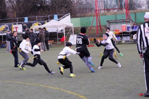 Chevalier Bowl 16 2016-12-17-12h17m34