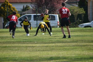 DSC 0034 (1)