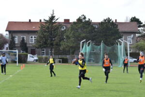 DSC 0038 (1)