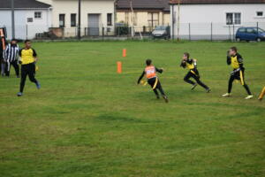 DSC 0051 (1)