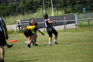 DSC 0101 (1) (1)