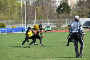 DSC 0103 (1)