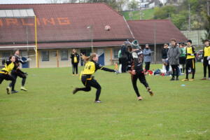 DSC 0104 (1)