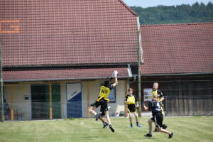 DSC 0161 (1) (1)