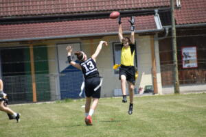 DSC 0172 (1) (1) (1)