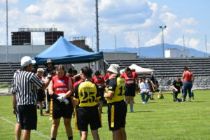 DSC 0186 (1) (1)