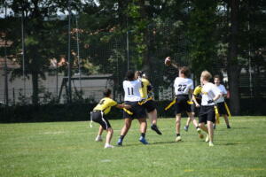 DSC 0195 (1) (1)