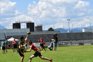 DSC 0204 (1)