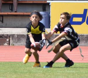 DSC 0209 (2)