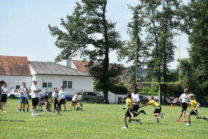 DSC 0211 (1) (1)