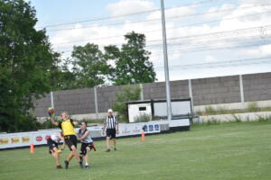 DSC 0224 (1) (1)