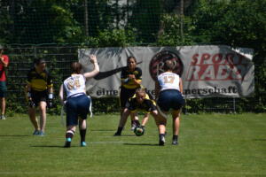 DSC 0237 (1)