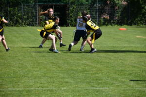 DSC 0254 (1) (1)
