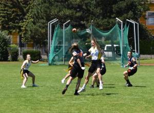 DSC 0339 (1)