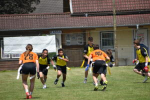 DSC 0389 (1)