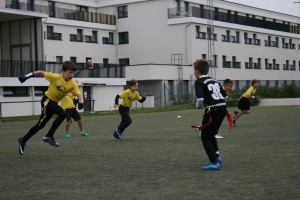 IMG 5847