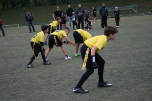 IMG 5867