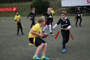 IMG 5869