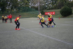 IMG 5951
