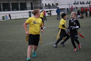 IMG 5995