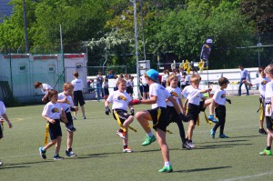 LanceBowl16-104041 