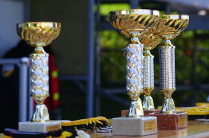 LanceBowl16-110055 