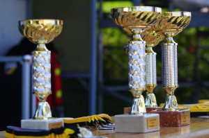 LanceBowl16-110056 