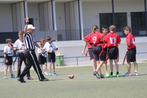LanceBowl16-115430 