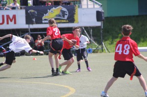 LanceBowl16-115811-1 