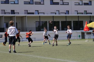 LanceBowl16-124527 
