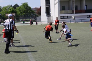 LanceBowl16-130436-1 