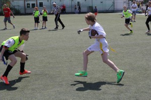 LanceBowl16-132046 