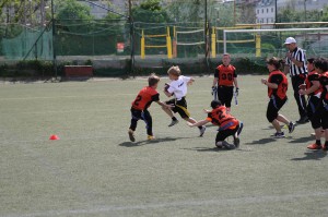 LanceBowl16-135711-1 