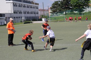 LanceBowl16-141427 