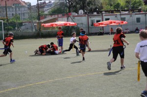 LanceBowl16-142141 